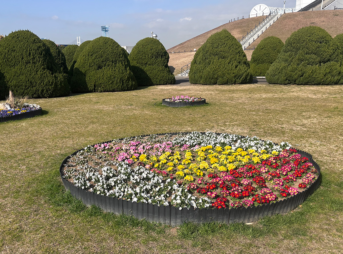 冬の花壇1