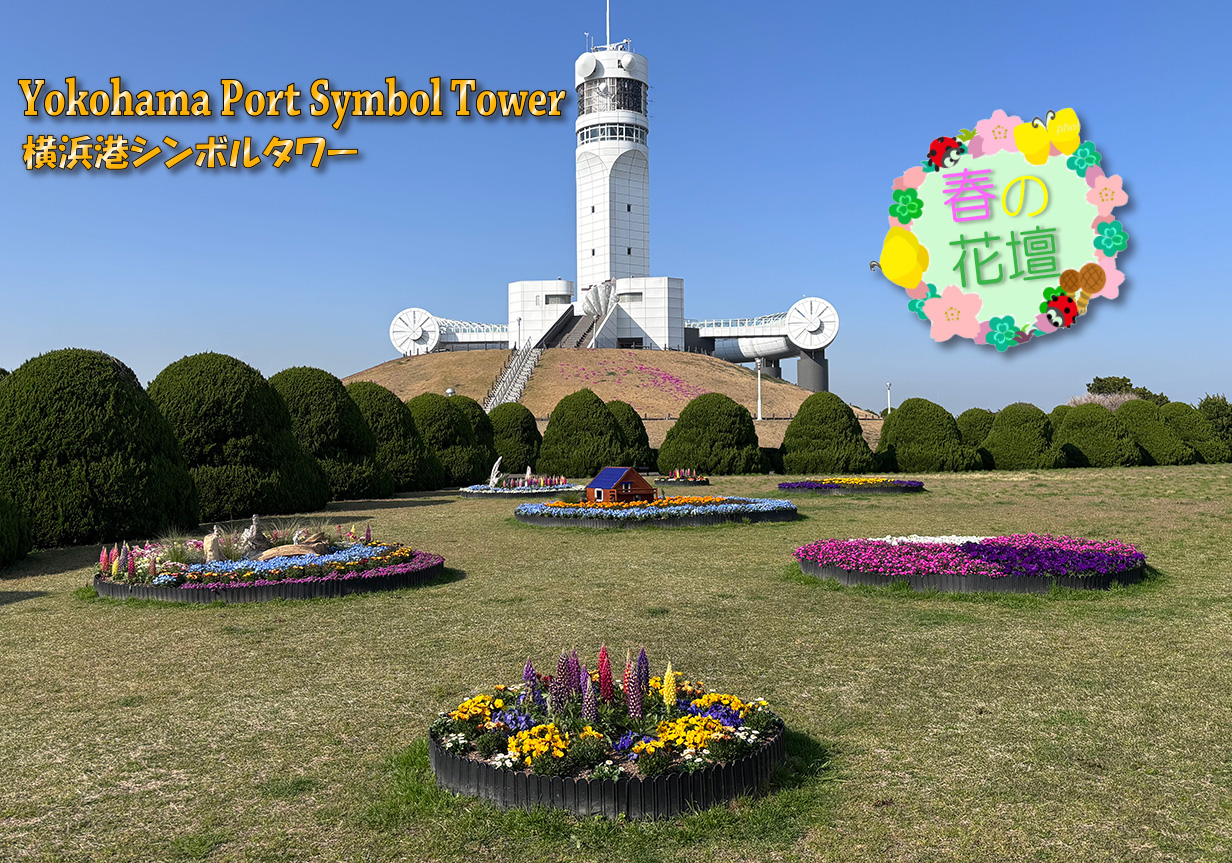 春の花壇の写真